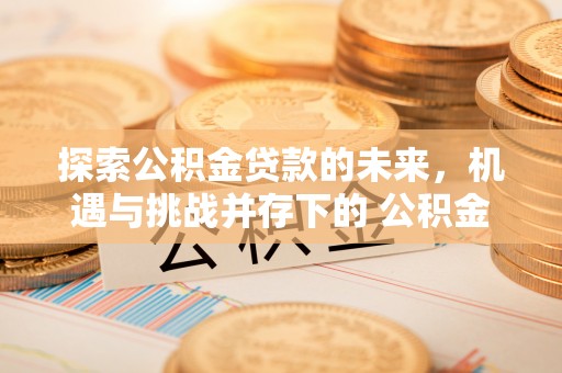 翠屏探索公积金贷款的未来，机遇与挑战并存下的 公积金贷款风险防控