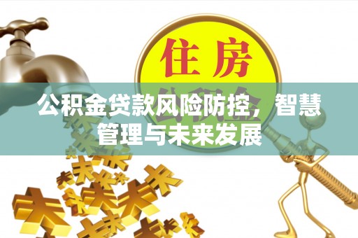 翠屏公积金贷款风险防控，智慧管理与未来发展