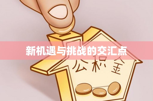 翠屏新机遇与挑战的交汇点
