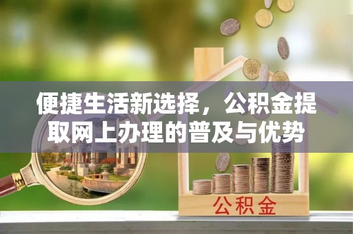 翠屏便捷生活新选择，公积金提取网上办理的普及与优势