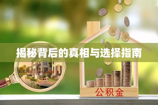 翠屏揭秘背后的真相与选择指南