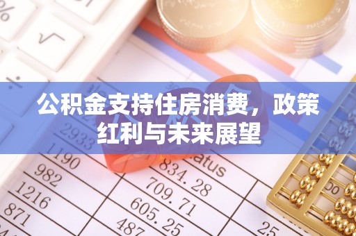 翠屏公积金支持住房消费，政策红利与未来展望