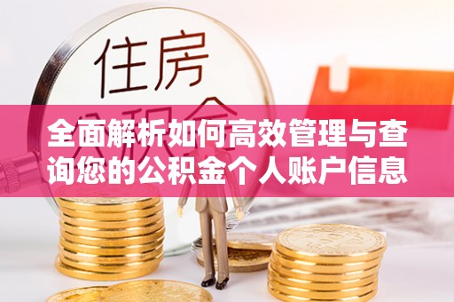 翠屏全面解析如何高效管理与查询您的公积金个人账户信息